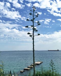 Autonoleggio Taranto