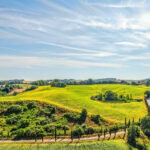 I migliori vigneti e cantine mozzafiato da visitare in Toscana