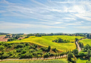 I migliori vigneti e cantine mozzafiato da visitare in Toscana